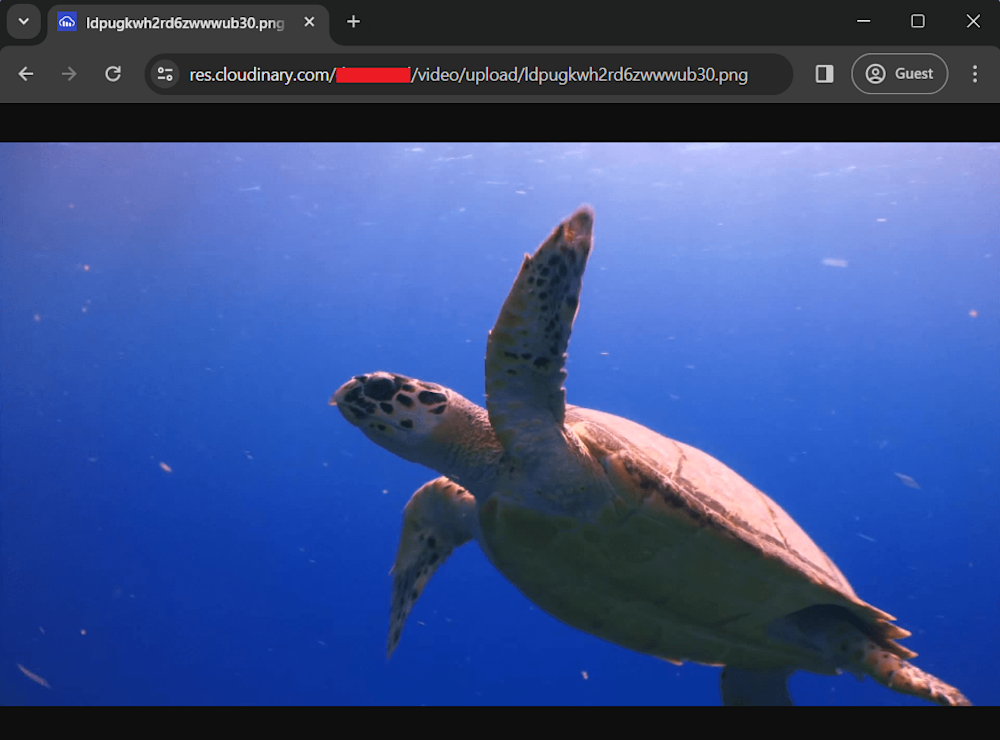 webm to png