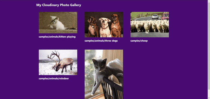 interactive photo gallery